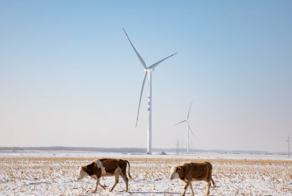 Amazon premier acheteur énergies renouvelables