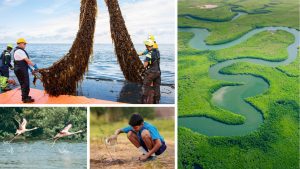 Le fonds Right Now Climate d’Amazon finance des projets de restauration écologique dans 16 pays