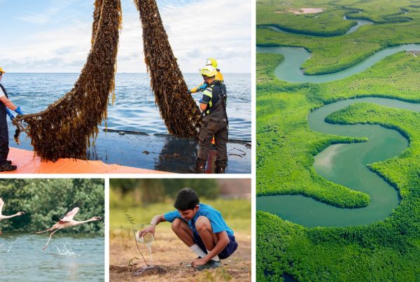 Le fonds Right Now Climate d’Amazon finance des projets de restauration écologique dans 16 pays