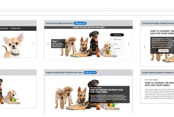 Interface Amazon Seller Central affichant un exemple de contenu A+ Premium avec modules vidéo et expérience interactive